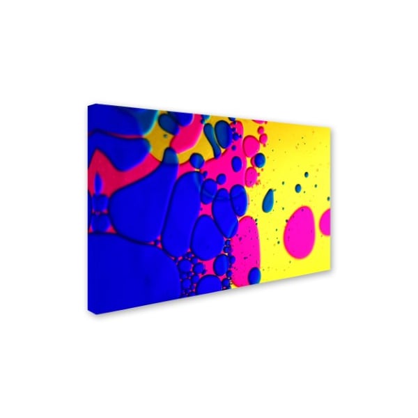 Beata Czyzowska Young 'Colour Fun IV' Canvas Art,30x47